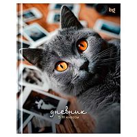 Дневник 5-11кл. BG тв.обл. "Барсик" 62133 глянц.лам.