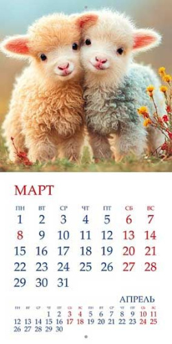 Календарь настенный 2027г. ХАТ Стандарт "Символ Года.Овечки" 36891 +декабрь2026г.,мел.30*30 096162 Календарь настенный 2027г. ХАТ Стандарт "Символ Года.Овечки" 36891 +декабрь2026г.,мел.30*30 096162