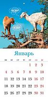 Календарь настенный 2027г. ХАТ Мини-Стандарт "Знак Года" 36260 мел.,12л.,21,6*21,6,на скобе 096176