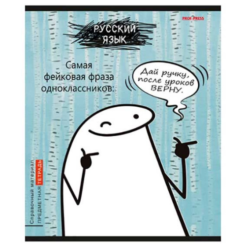 Тетрадь предм. 48л. Проф-Пресс "Школьные мемасики-Русский язык" 48-9661 (линейка) тисн.,холст