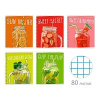 Тетрадь 80л. (клетка) А5 АЛЬТ спираль "My Refresh" 7-80-1302 мел.карт.,глянц.лам.,асс.