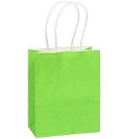Пакет подар. "Классика, салатовый" 15*12*6см 775-0730