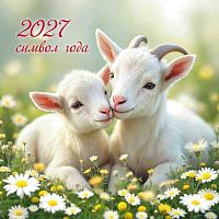 Календарь настенный 2027г. КВ "Символ года" 10295 на скобе,290*290мм