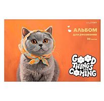 Альбом для рис.30л. ЭКСМО склейка "Pure Orange Cuteness" А2Л302657 мел.картон,твин-лак 