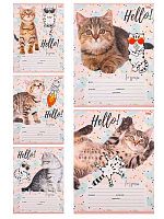 Тетрадь 12л. (клетка) Проф-Пресс "Забавный котик-1" 12-4374 цв.мел.обл.,асс.