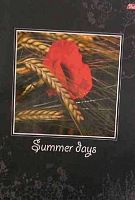 Тетрадь 96л. (клетка) А4 ХАТ "Summer Days" выб.лак