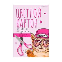 Картон цв. А4 10л.10цв. BV 11-410-319/01 в папке
