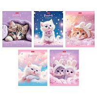 Тетрадь 48л. (клетка) ХАТ пластик.обл. "Нежные мечты" асс.