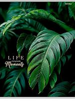 Тетрадь 96л. (клетка) А4 Проф-Пресс "Зелёные листья-5" 96-8927 тисн.холст