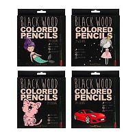 Карандаши пластик. 24цв. BV "BlackWoodColor" 30-0099 к/к ,асс.
