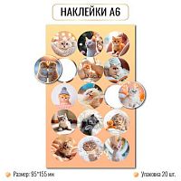 Наклейка А6 (9,5*15,5см) КВ "Коты" 10260