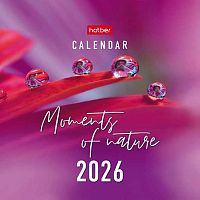 Календарь-домик настол. 2026г. ХАТ Квадрат "Moments of nature" 33374 спираль,10,1*10,1см,мел.бум.115