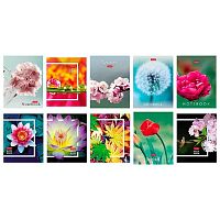 Записная книжка А6  32л. ХАТ "Живые моменты" клетка,глянц.лам.,асс.