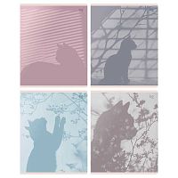 Тетрадь 48л. (клетка) BG "Тени" 08796 soft-touch лам.,асс.