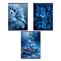 Тетрадь 80л. (клетка) А4 SVETOCH "Сквозь синий туман" Т155 (01763) выб.лак