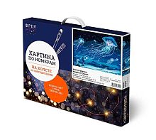 УЦЕНКА Набор д/раскрашивания по номерам со светодиодн.нитью ФРЕЯ "Магия океана" PNB/PMDD-170 40*30см