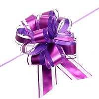 Бант д/оформления подарка "Изящный подарок" 214-249 фиолетовый,5см,d-15см