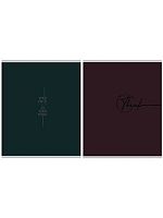 Тетрадь 96л. (клетка) А4 Проф-Пресс спираль "Минимализм и фразы-2" 96-5355 софт-тач,асс.