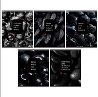 Тетрадь 48л. (клетка) ЭКСМО "Natural Black" ТКЛ489677 выб.лак,лам.soft-touch