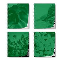 Тетрадь 48л. (клетка) SVETOCH пластик.обл. спираль "Утренний пейзаж" Т208 (01548) зелёная