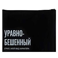 Папка д/тетрадей А4 КОКОС "Уравнобешенный" 251937 кож.зам.,на молн.,1отд.