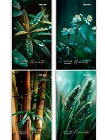 Блокнот А6  24л. Проф-Пресс "Растительная тема-1" Б24-2998 цв.мелов.обл.,асс.