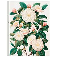 Бизнес-блокнот А5  80л. BG тв.обл. "Цветы" 64105 мат.лам.,тисн.фольг.