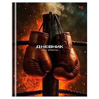 Дневник 1-11кл. BG тв.обл. "Бокс" 62154 мат.лам.
