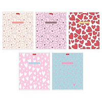 Тетрадь 48л. (клетка) ХАТ пластик.обл. "Love is" асс.