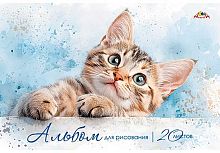 Альбом для рис.20л. АППЛИКА "Котёнок" С0218-85 цв.мел.обл.