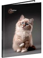 Дневник 5-11кл. Проф-Пресс тв.обл. "Милый котик-5" Д48-9456 выб.лак