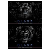 Альбом для рис.32л. BG "Just black" 08613 на скобе,выб.лак,лам.софт-тач,асс.