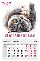 Календарь отрывной 2027г. Арт Дизайн "Себя надо баловать" 0611.171 на магните,95*145мм,300гр