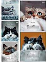 Тетрадь 12л. (кос.лин.с доп.гориз.) Проф-Пресс "Кошачьи мордочки-3" 12-4460 цв.мел.обл.,асс.