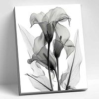Картина по номерам Котеин "Монохромные каллы" 40*50см HR0763 (9цв.)