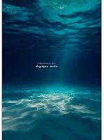 Записная книжка А5  80л. Проф-Пресс "Морское дно" ЗК-3456 тв.обл.,глянц.лам.,цв.мел.обл.