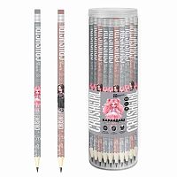 Карандаш ч/гр. ФЕНИКС "Красотка" 70084 HB,кругл.,светл.дерево,асс.,пэт-тубус