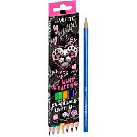 Карандаши  6цв. deVENTE "У меня лапки" 5021622 шестигр.,2М,гриф.2,8мм,к/к