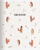 Тетрадь предм. 48л. Be Smart "Dreamland-Обществознание" N5335 справ.инф.,лам. (клетка)