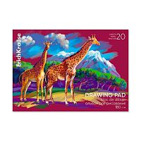 Альбом для рис.20л. EK склейка "Safari" 61470