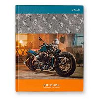 Дневник 1-11кл. SVETOCH тв.обл. "Свобода действий" 40ДТ5_3_5 (000603) глянц.лам.