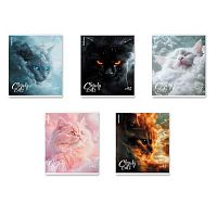 Тетрадь 48л. (клетка) EK "Cloudy Cats" 64862 мат.лам.,асс.