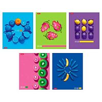 Тетрадь 40л. (клетка) ХАТ пластик.обл. "New fruits" асс.