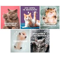 Тетрадь 80л. (клетка) ЭКСМО спираль"Подкрадули" ТСЛ808828 выб.лак,асс.