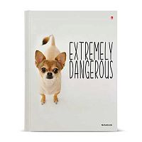 Тетрадь на кольцах  80л. (клетка) АЛЬТ "Особо опасные собачки" 7-80-081/41 глянц.лам.