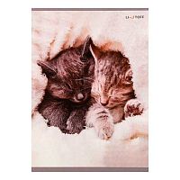 Тетрадь 48л. (клетка) А4 ЭКСМО "Пушистый сон" Т4485102 хромэрзац