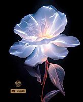 Тетрадь 40л. (клетка) АППЛИКА "Яркий цветок" С6046-33 обл.мел.карт.