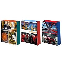 Пакет подар. Микрос 26*32см Мужской Ч55853 лам.матовый микс