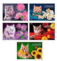 Альбом для рис.16л. ХАТ "Лето на ферме" лам.soft-touch,на скобе,асс.