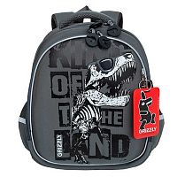 Ранец школьный Гризли RAz-487-2 серый